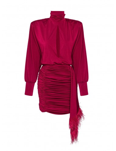 Burgundy Ruched Feather-Trimmed Mini Dress hantent personnes